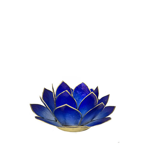 Lotus S donkerblauw