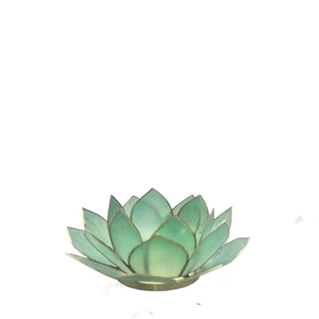 Lotus S petrol
