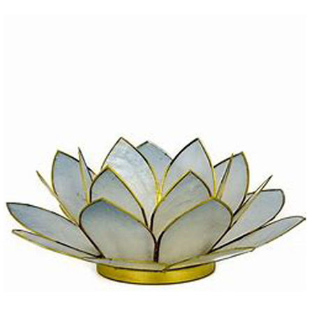 Lotus L lichtblauw