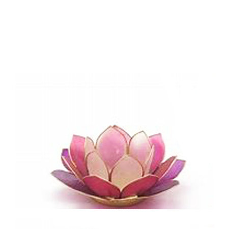 Lotus S paars multi