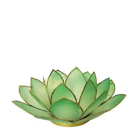 Lotus L blauwgroen