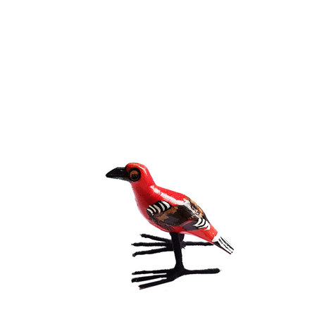 Troostvogel rood staand S