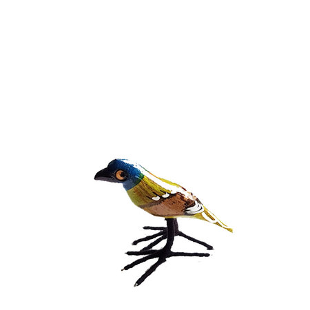 Troostvogel groengeel staand S