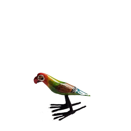 Troostvogel staand papegaai S