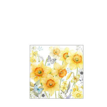 Paasservetten Classic daffodils