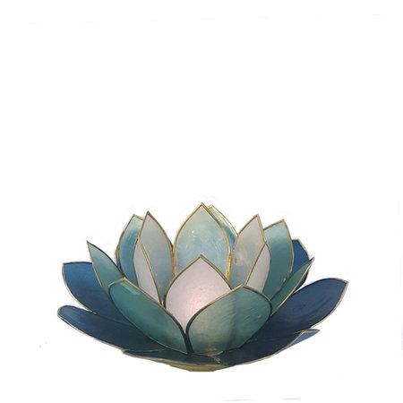 Lotus L blauw multi