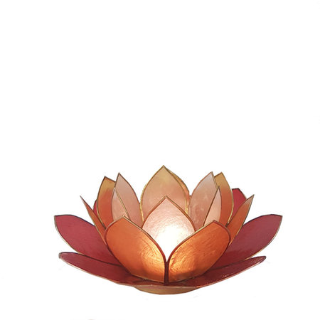 Lotus L rood multi