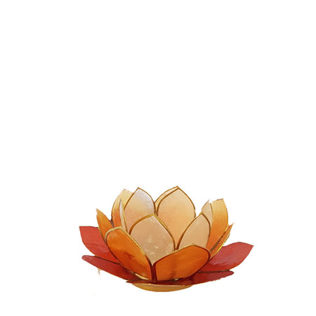 Lotus S rood multi