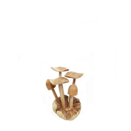 Paddenstoel hout plat (nr.3)