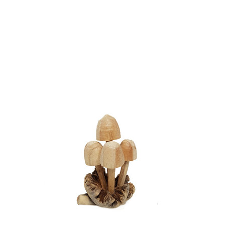 Paddenstoel hout rond (nr.2)