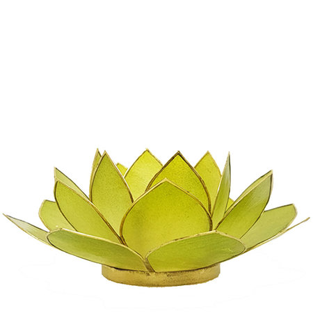 Lotus L groen