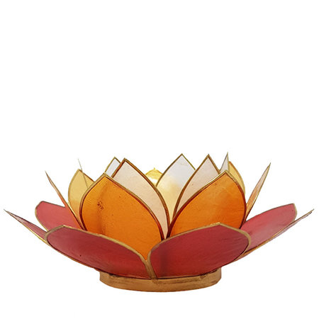 Lotus L rood multi