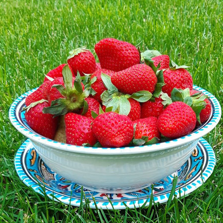 Fruittest met bord blauw (1)