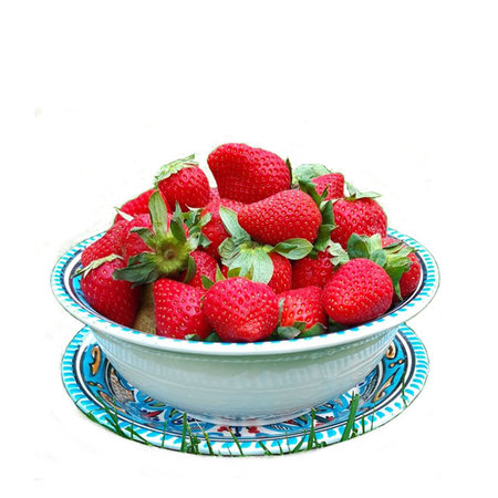 Fruittest met bord blauw (1)