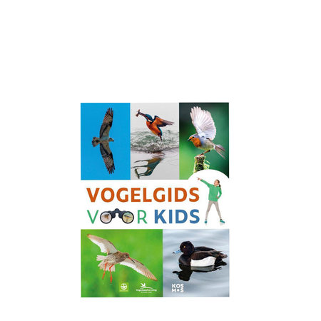 Vogelgids voor kids