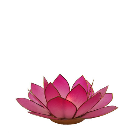 Lotus L oud roze