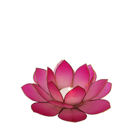 Lotus L oud roze