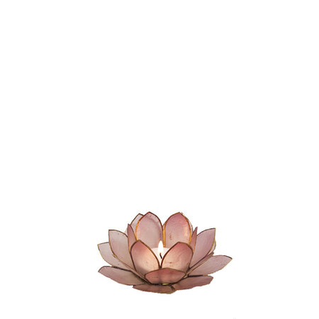 Lotus S zacht roze
