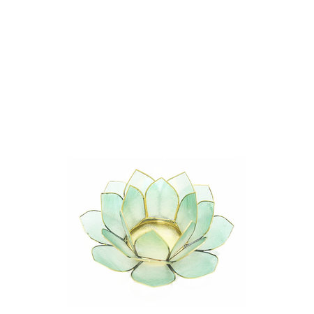 Lotus S lichtblauw
