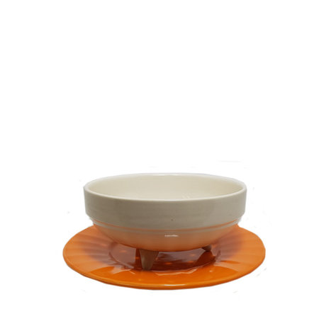 Fruittest creme met oranje bord