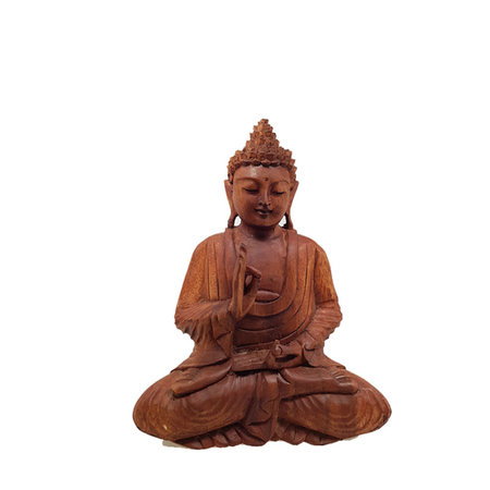 Boeddha Vitarka mudra