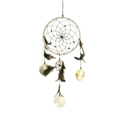 Dromenvanger zilver (4)