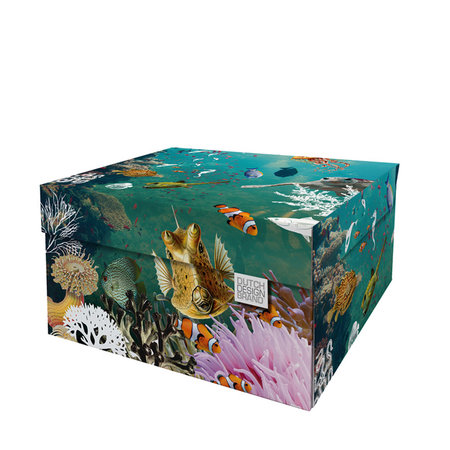 Bewaardoos Coral Reef