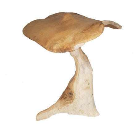 Paddenstoel teak M