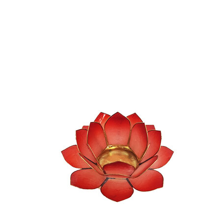 Lotus S rood