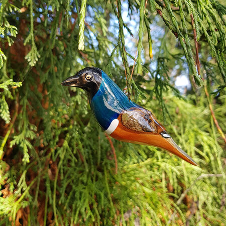 Troostvogel M hangend geel blauw
