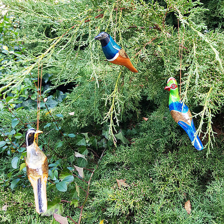 Troostvogel M hangend geel blauw