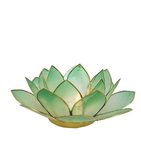 Lotus L blauwgroen