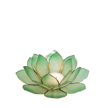 Lotus L blauwgroen