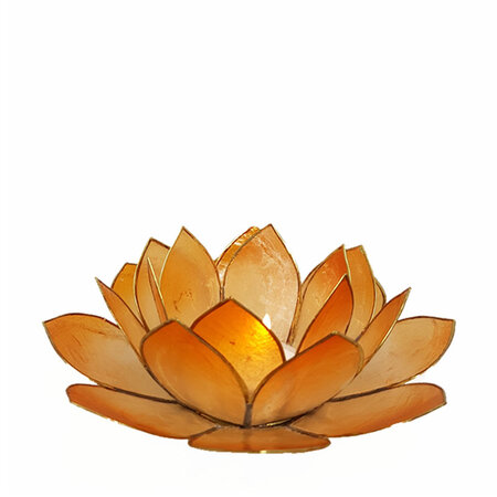 Lotus L oranje