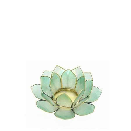 Lotus S zeegroen