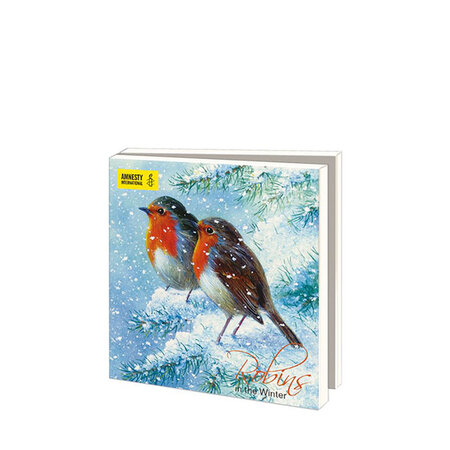 Mapje Robins in the winter Amnesty