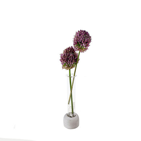 Vaasje pale grey