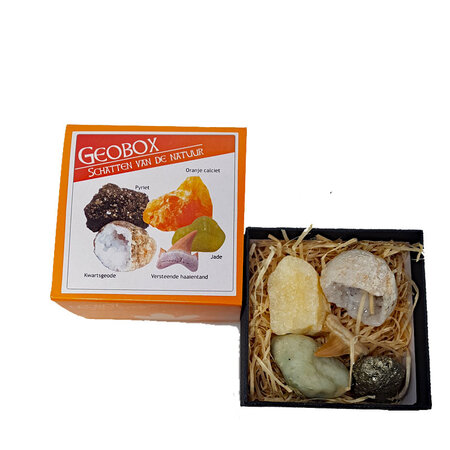 Doosje mineralen/ fossielen