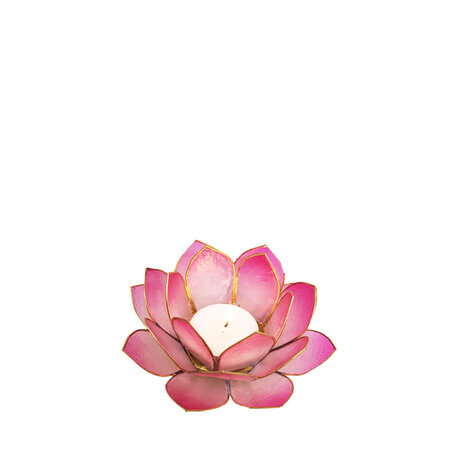 Lotus S oud roze
