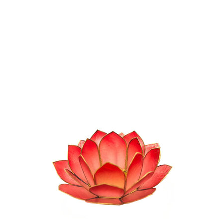 Lotus S rood