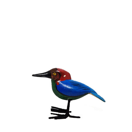Troostvogel M blauwe groen