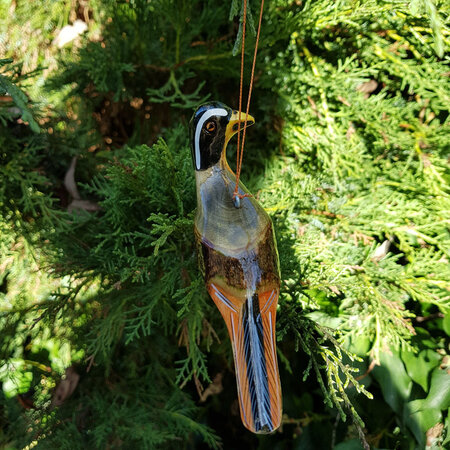 Troostvogel M hangend geel bruin