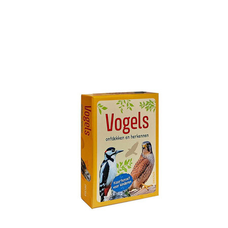 Vogels ontdekken en herkennen