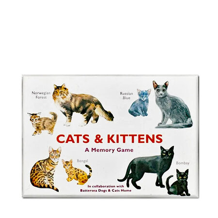 Memoryspel Katten en kittens
