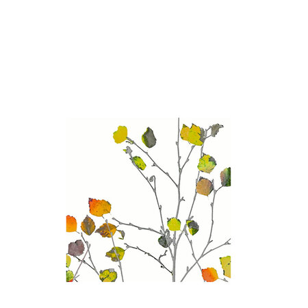 Servetten Minimal Autumn 33