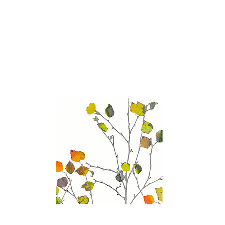 Servetten Minimal Autumn 25