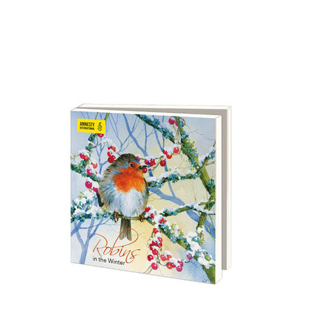 Mapje Robins in the winter Amnesty