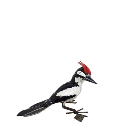 Bonte specht scrapmetal M