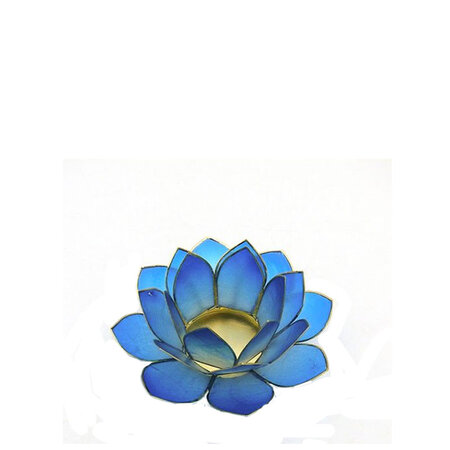 Lotus S donkerblauw