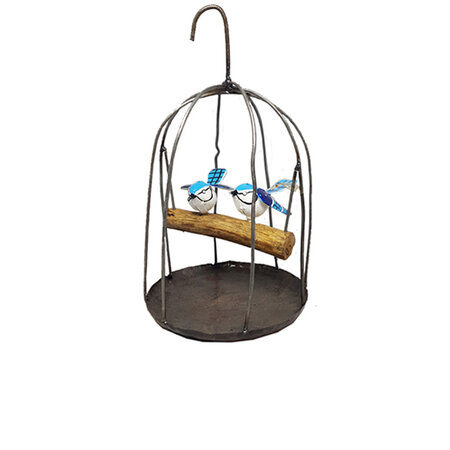 Vogelkooi blauwe vogels